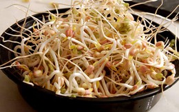 Cách trồng giá đỗ sạch trong 4 ngày