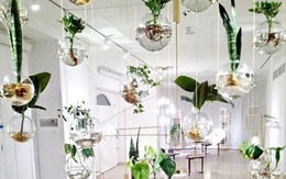 Cách đơn giản mang sắc xanh vào nhà phố