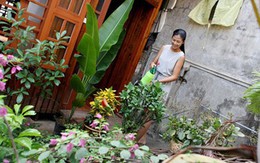 Những ngôi nhà "bình dân" của sao Việt