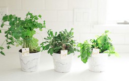 10 thay đổi nhỏ khiến nhà thoáng mát