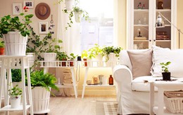 10 phụ kiện nhất định phải có trong nhà