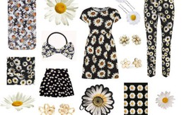 Họa tiết cúc họa mi khiến giới trẻ Việt mê đắm