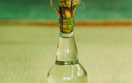 Trị sạch tàn nhang bằng rượu gạo