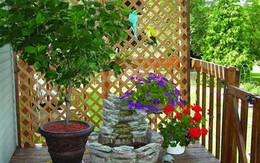 4 cách hay để sân vườn vừa mát vừa riêng tư