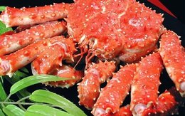 Những món ăn "đắt giật mình" ở Việt Nam