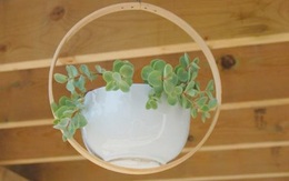 Tự làm chậu hoa cho nhà thêm xinh