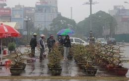 Thanh Hóa: Làng chài nghèo những ngày giáp Tết