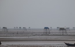 Chìm tàu ở Hậu Lộc, đã tìm thấy thi thể mất tích