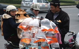 Rộn ràng ông Táo… về trời