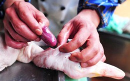Giật mình chiêu làm giả vịt thành ngỗng tinh vi