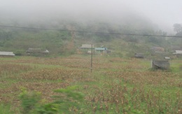 Sapa rét 11 độ C