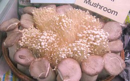 Rau ngoại giá siêu đắt 'hút' khách