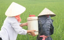 Nôn ra mật xanh vì vô tình chạm vào bình hóa chất