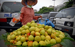 Cách nhận biết rau quả có chứa hóa chất