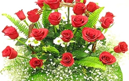 Chơi hoa 'thời thuốc trừ sâu': chỉ ngắm chứ không ngửi
