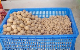 Ngỡ ngàng bò viên tẩm hóa chất độc hại