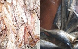 Mực, cá nục khô có thuốc trừ sâu