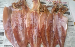 Phát hiện mực chứa ký sinh trùng gây bệnh