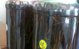 Thực hư rượu ngâm thuốc phiện tăng cường 'chuyện ấy' 