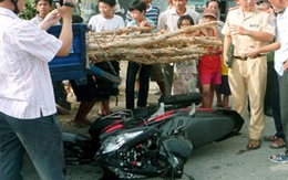 Bị cây đâm thủng bụng vì tông đuôi xe tải