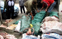 3 tấn trâu bò ôi thiu chuẩn bị tuồn vào quán ăn		