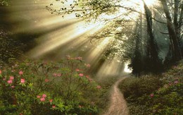 Miền Bắc hửng nắng ấm