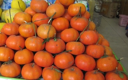 Cam Trung Quốc “lên đời” thành cam Canh "xịn"