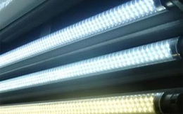 Nguy hại đến từ bóng đèn trong văn phòng