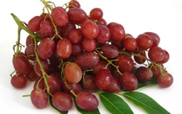 5 loại trái cây nổi tiếng độc hại năm 2012
