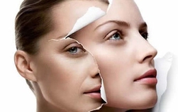 “Lịch trình” lão hóa của các bộ phận trong cơ thể