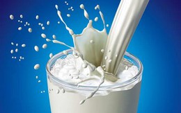 Hỏng hệ tiêu hóa vì sữa có năng lượng quá cao