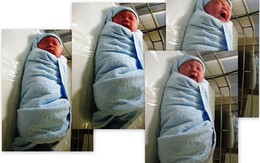 40 "chú ngựa con" chào đời trong sáng đầu năm ở Sài Gòn