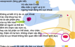Sự thật ít biết về cực khoái