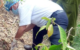 Đau lòng vụ bé gái phạm tội giết người chỉ vì thèm quà vặt