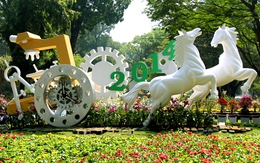 Hội hoa xuân lớn nhất TP HCM trước ngày khai mạc