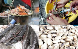 Run rẩy ăn thủy sản nhiễm độc
