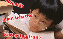 Chăm sóc sức khỏe đôi mắt giúp con "sáng suốt" trong mùa thi