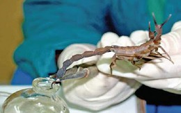 Cuba đạt tiến bộ lịch sử trong điều trị ung thư
