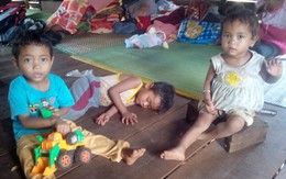 4 đứa trẻ hãi hùng nhìn mẹ chết thảm dưới tay cha