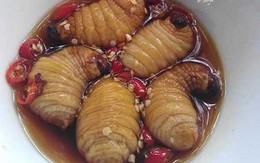 Chóng mặt với đủ món "đặc sản" cường dương