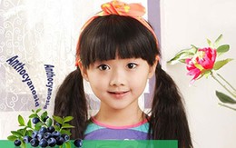 Cao Việt Quất từ Châu Âu – “Thần dược” phòng chống cận thị học đường 