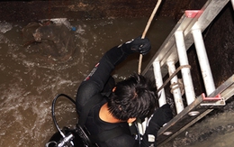 Hàng chục người nhái tìm bé trai bị nước cuốn xuống cống