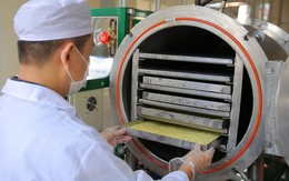 Hướng đi nào cho chuẩn hóa nguồn nguyên liệu dược phẩm Việt Nam