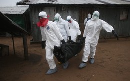 Ebola ở Tây Phi: Bạo lực xuất hiện, người nhiễm bệnh đi lang thang trên phố