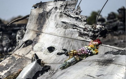 Vụ MH17: Mỹ cử nhóm chuyên gia tới Ukraine hỗ trợ điều tra thảm họa