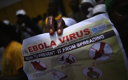 Hoảng sợ, 20.000 người có thể bị nhiễm virus tử thần