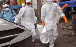 Ebola lây lan theo cấp số nhân, dùng máu của người khỏi bệnh chữa cho bệnh nhân mới