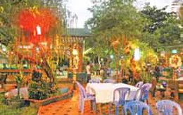 Tiểu Ngư Quán: Cá trích các kiểu