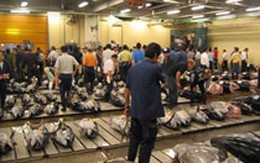 Nhật hạn chế du khách thăm chợ cá Tsukiji nổi tiếng