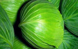Rau ngăn ngừa được chứng mệt mỏi và thiếu máu?
